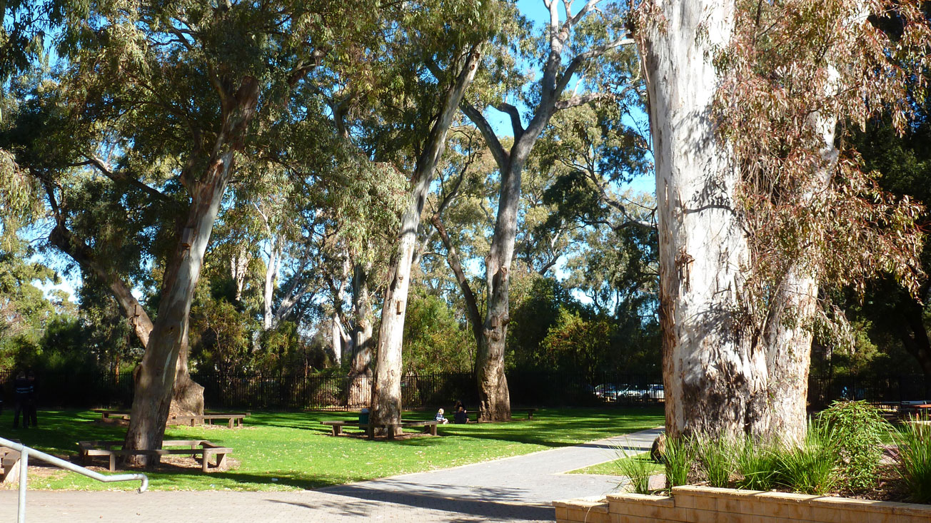 Marryatville High School in Australien TravelWorks